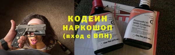 ECSTASY Бородино