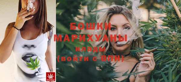 ECSTASY Бородино