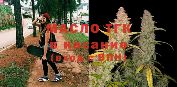 ECSTASY Бородино
