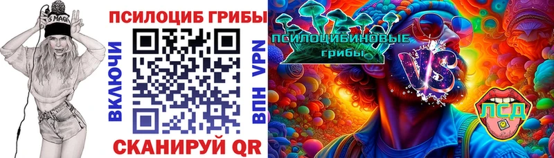 Купить  Руза  Псилоцибиновые грибы мицелий 